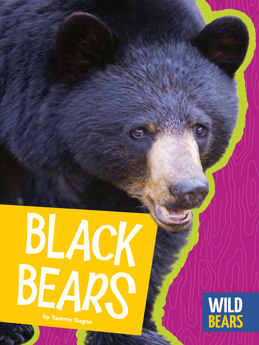 Cover image for Black Bears